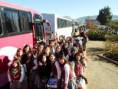Organización de viajes nacionales e internacionales